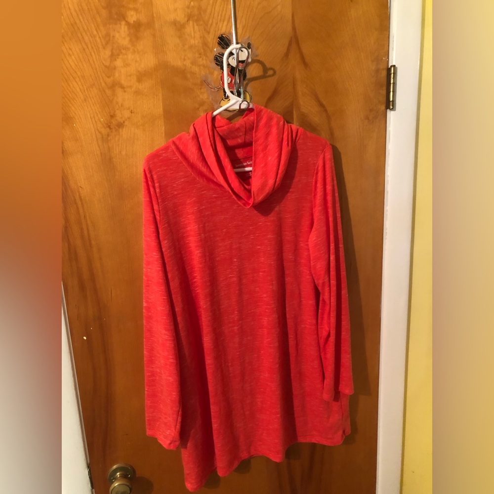 Turtle neck/cowal neck long sleeved shirt